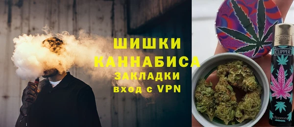 прущие грибы Бронницы