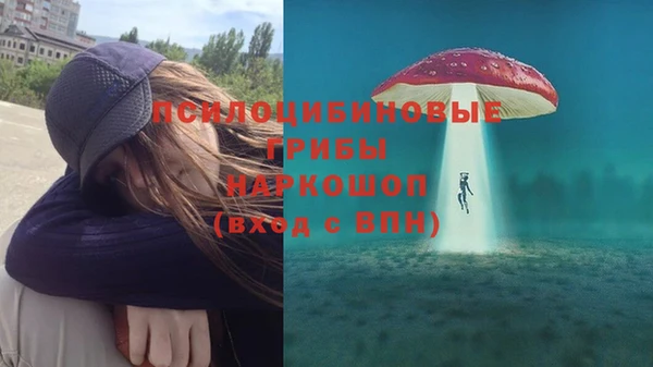 прущие грибы Бронницы