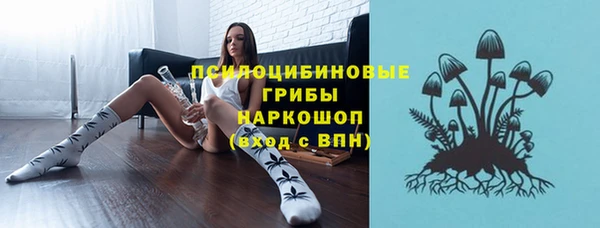 прущие грибы Бронницы