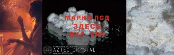 прущие грибы Бронницы