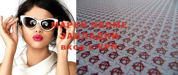 прущие грибы Бронницы