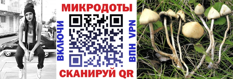 Псилоцибиновые грибы Psilocybe  Качканар 